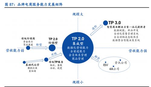 頭部TP的多元化業務矩陣 構建兼具電商、營銷與技術能力的品牌綜合服務商